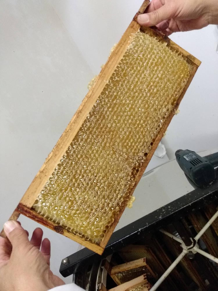 Nook Farm Honey
